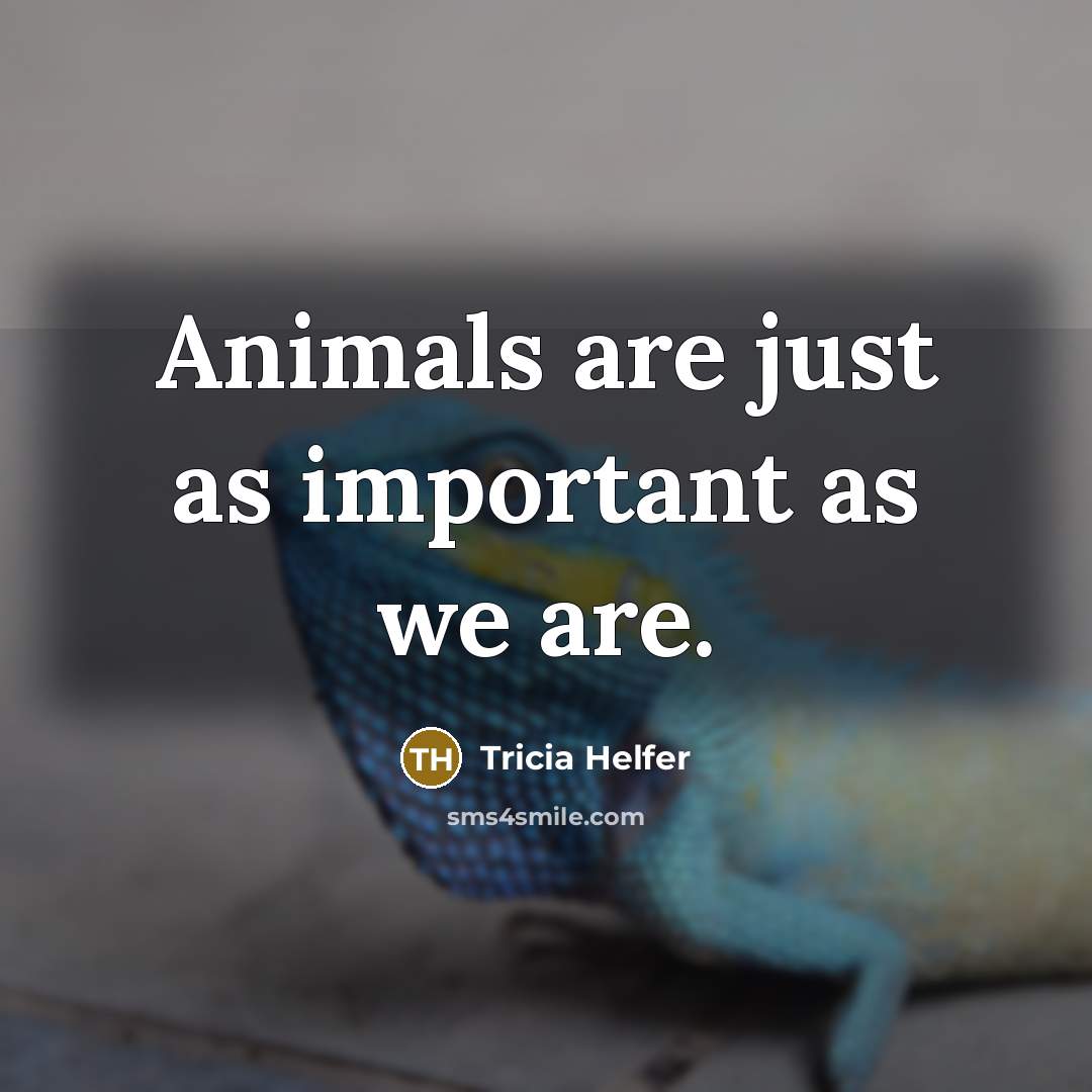 “Animals are just as important as we are.…” quote by Tricia Helfer