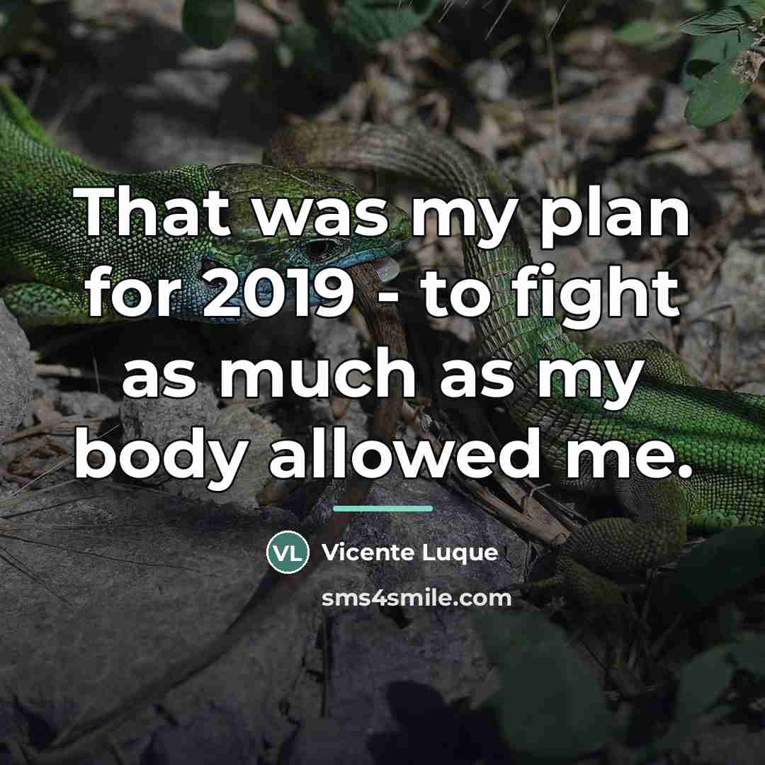“That was my plan for 2019 - to fight as…” quote by Vicente Luque