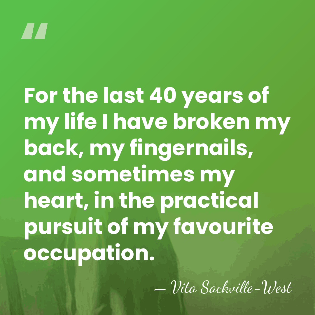 For the last 40 years of my life I have broken my&hellip; - Vita Sackville-West