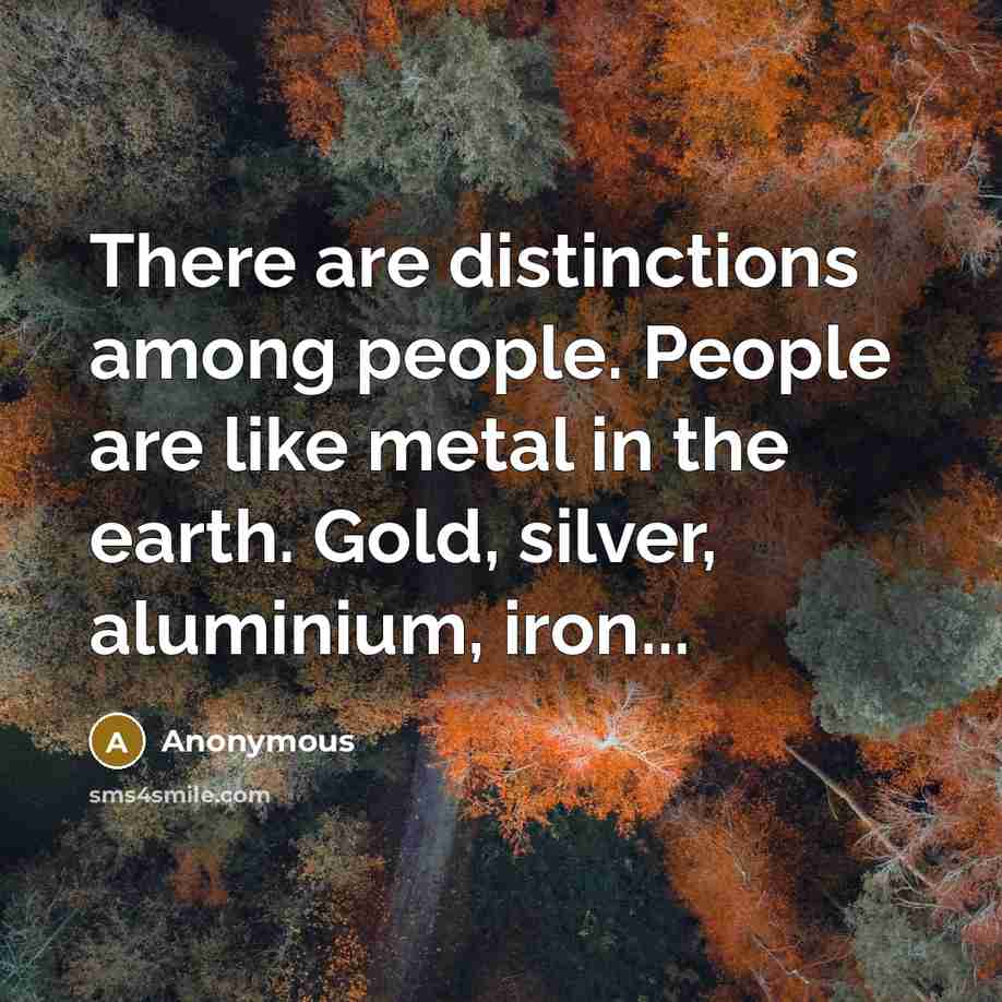 “There are distinctions among people. People are like metal in…” quote by Anonymous