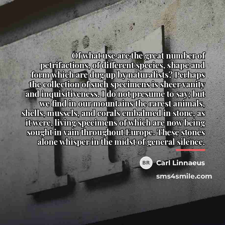 “Of what use are the great number of petrifactions, of…” quote by Carl Linnaeus