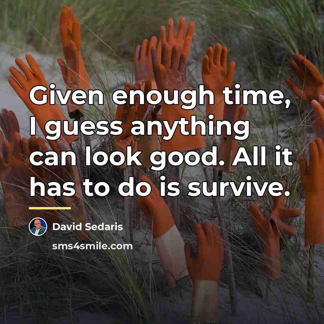“Given enough time, I guess anything can look good. All…” quote by David Sedaris