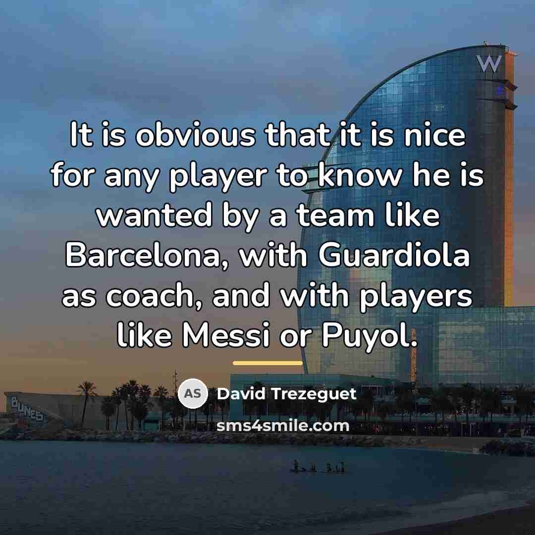 “It is obvious that it is nice for any player…” quote by David Trezeguet
