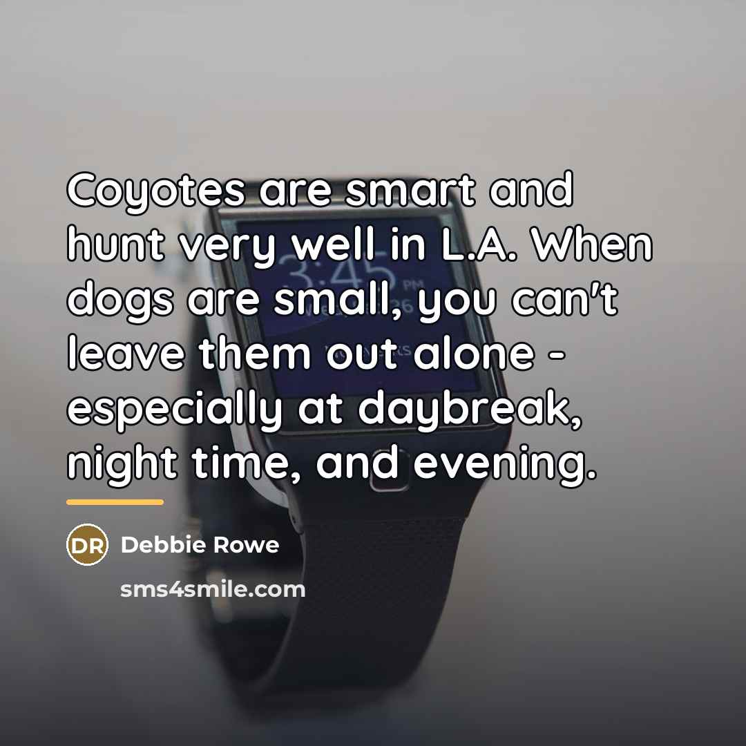 “Coyotes are smart and hunt very well in L.A. When…” quote by Debbie Rowe