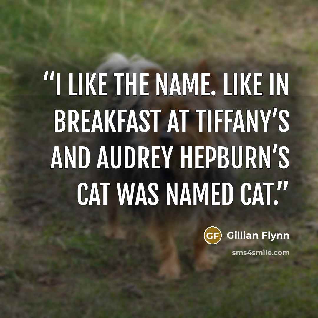 “I like the name. Like in Breakfast at Tiffany’s and Audrey Hepburn’s cat was named Cat.” quote by Gillian Flynn