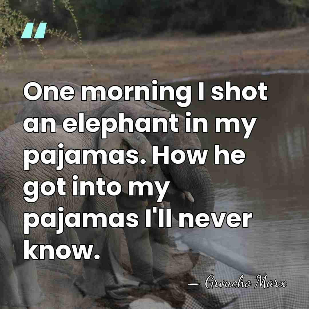 One morning I shot an elephant in my pajamas. How he got&hellip; - Groucho Marx