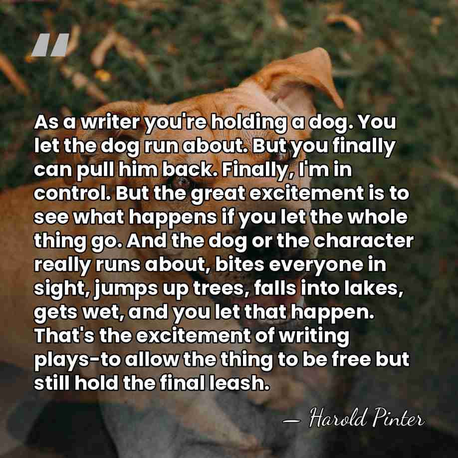 As a writer you're holding a dog. You let the dog run&hellip; - Harold Pinter