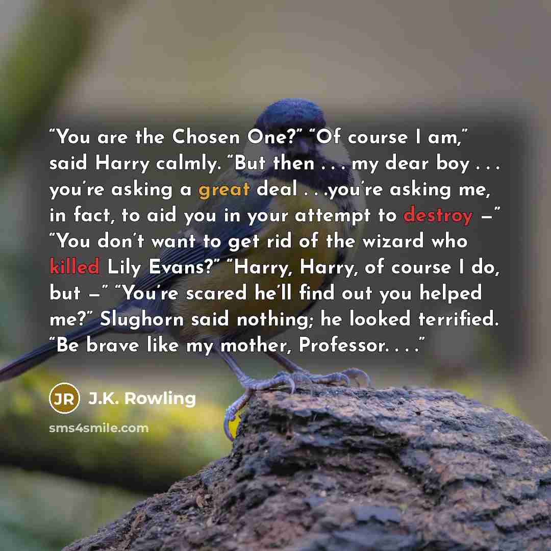 “You are the Chosen One?” “Of course I am,” said Harry calmly. “But then . . . my dear boy . . . you’re asking a great deal . . .you’re asking me, in fact, to aid you in your attempt to destroy —” “You don’t want to get rid of the wizard who killed Lily Evans?” “Harry, Harry, of course I do, but —”…” quote by J.K. Rowling