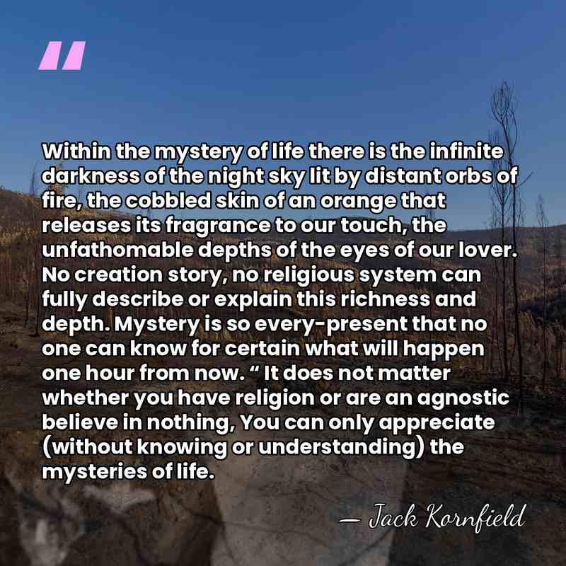 Within the mystery of life there is the infinite darkness of the&hellip; - Jack Kornfield