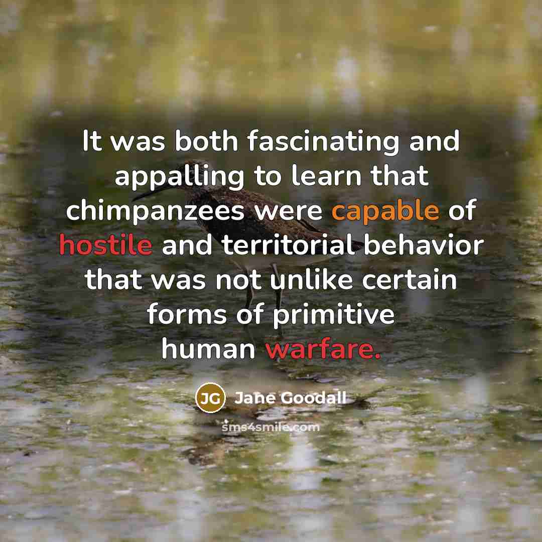 “It was both fascinating and appalling to learn that chimpanzees were capable of hostile and territorial behavior that was not unlike certain forms of primitive human warfare.” quote by Jane Goodall