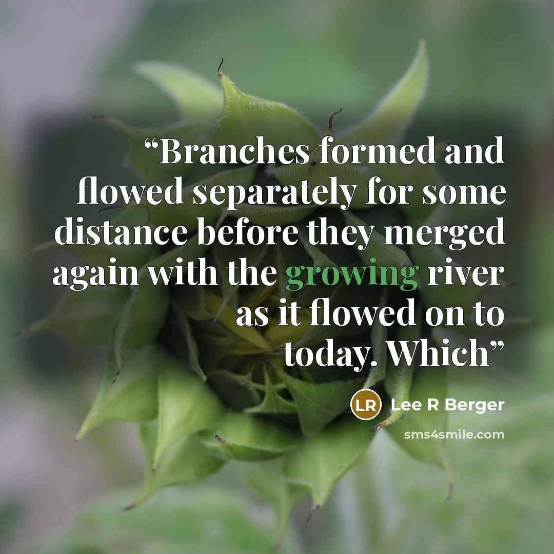 “Branches formed and flowed separately for some distance before they merged again with the growing river as it flowed on to today. Which” quote by Lee R Berger