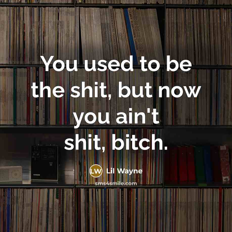 “You used to be the shit, but now you ain't…” quote by Lil Wayne