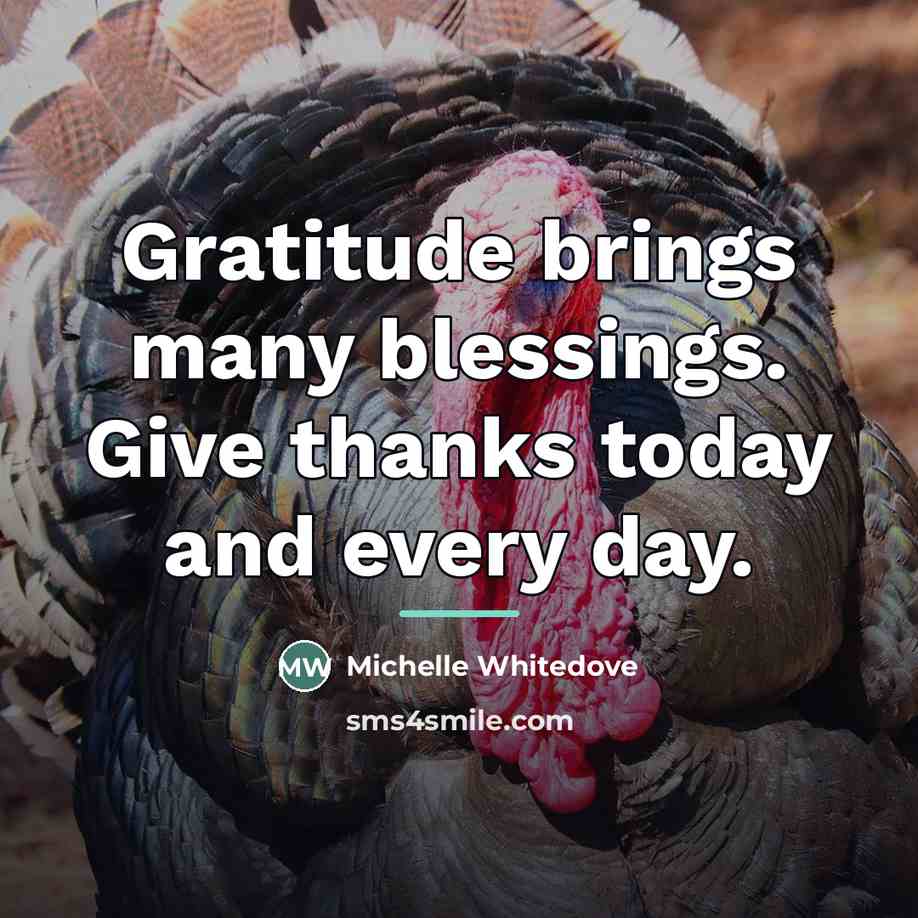 “Gratitude brings many blessings. Give thanks today and every day.…” quote by Michelle Whitedove