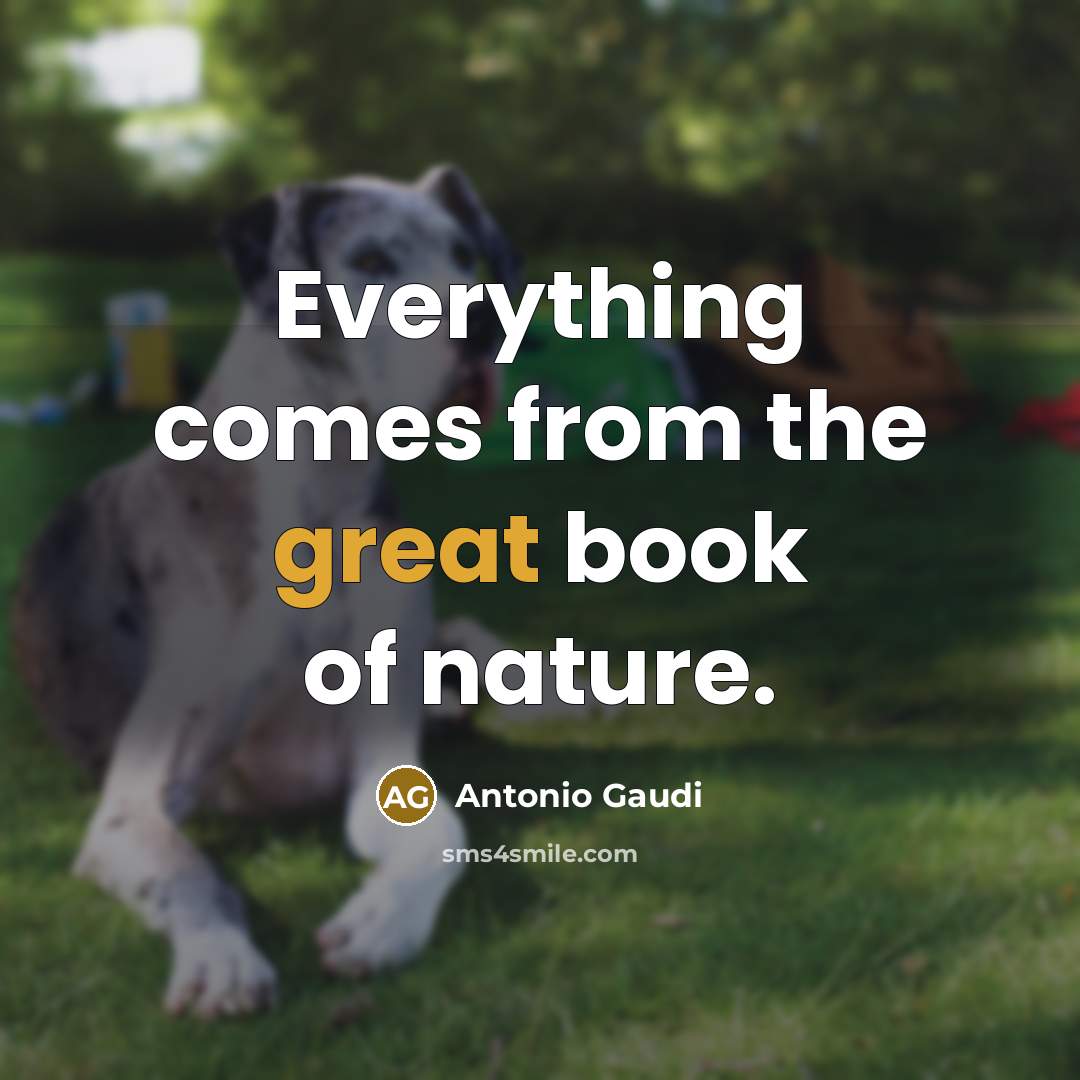 “Everything comes from the great book of nature.…” quote by Antonio Gaudi