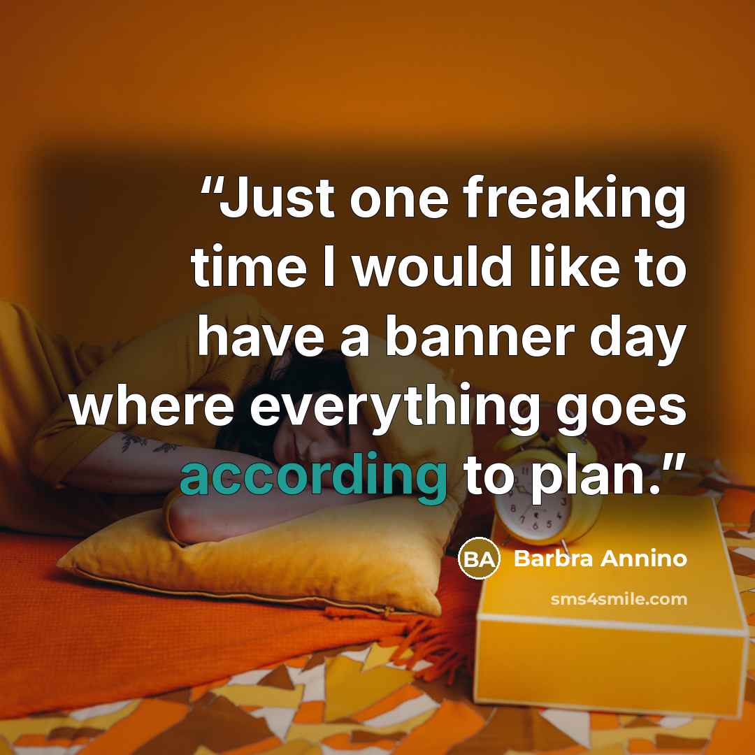 “Just one freaking time I would like to have a banner day where everything goes according to plan.” quote by Barbra Annino