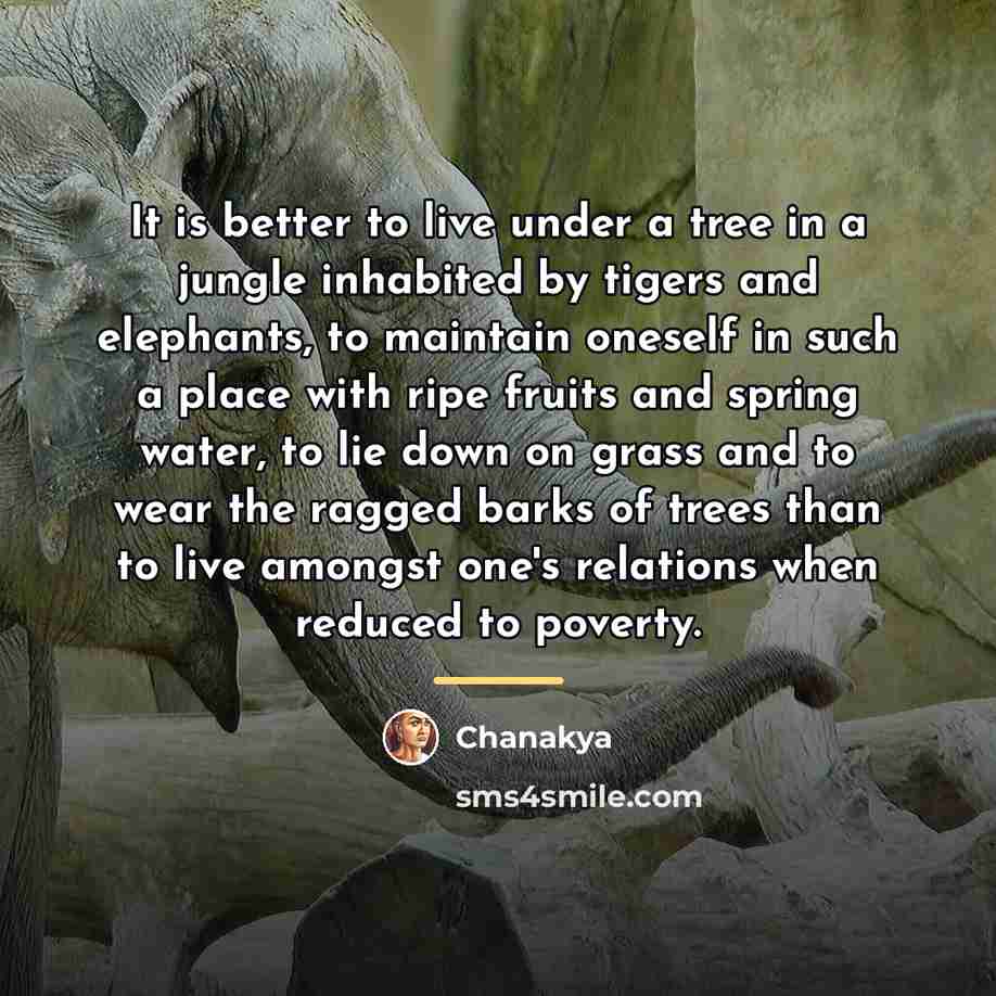 “It is better to live under a tree in a…” quote by Chanakya