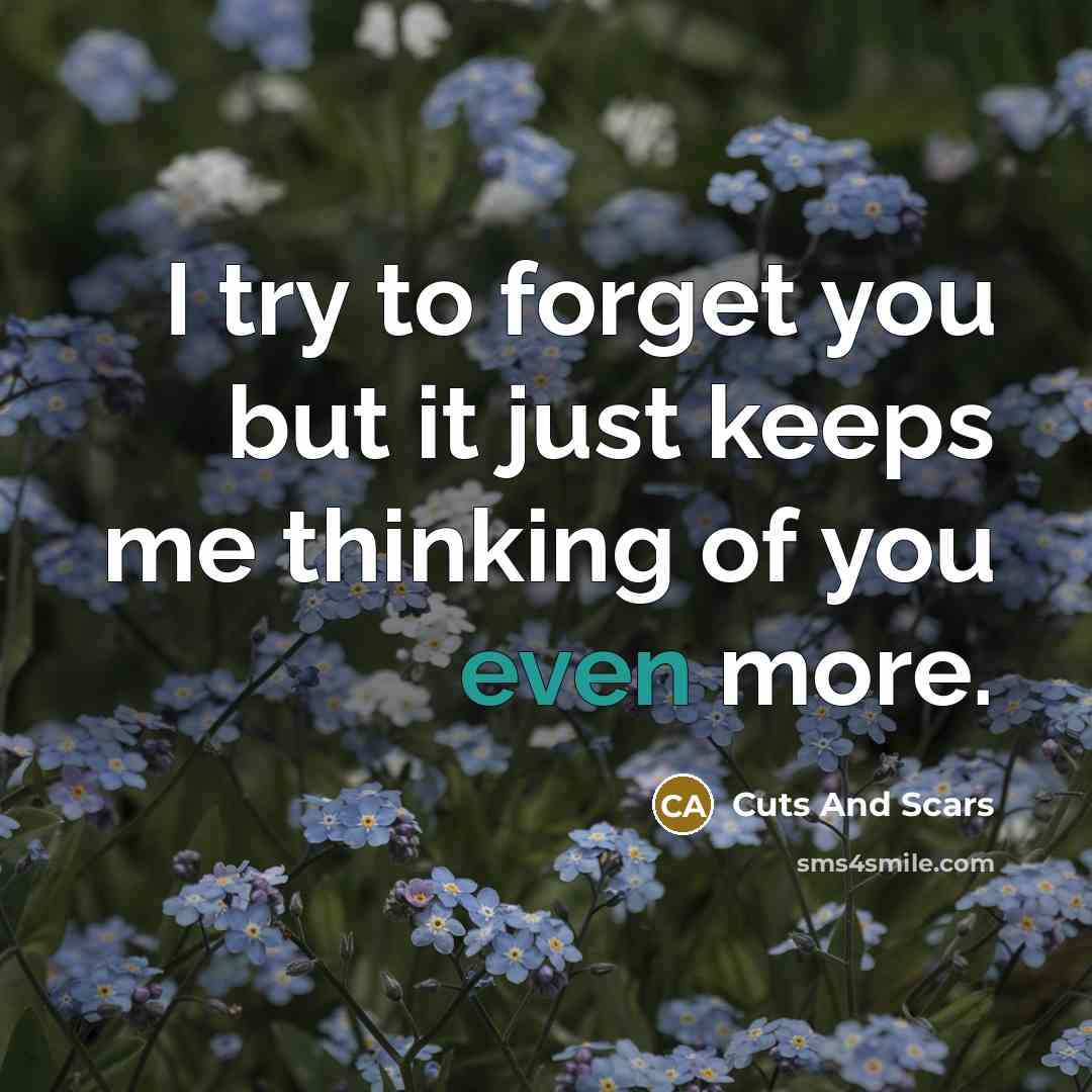 “I try to forget you but it just keeps me…” quote by Cuts And Scars