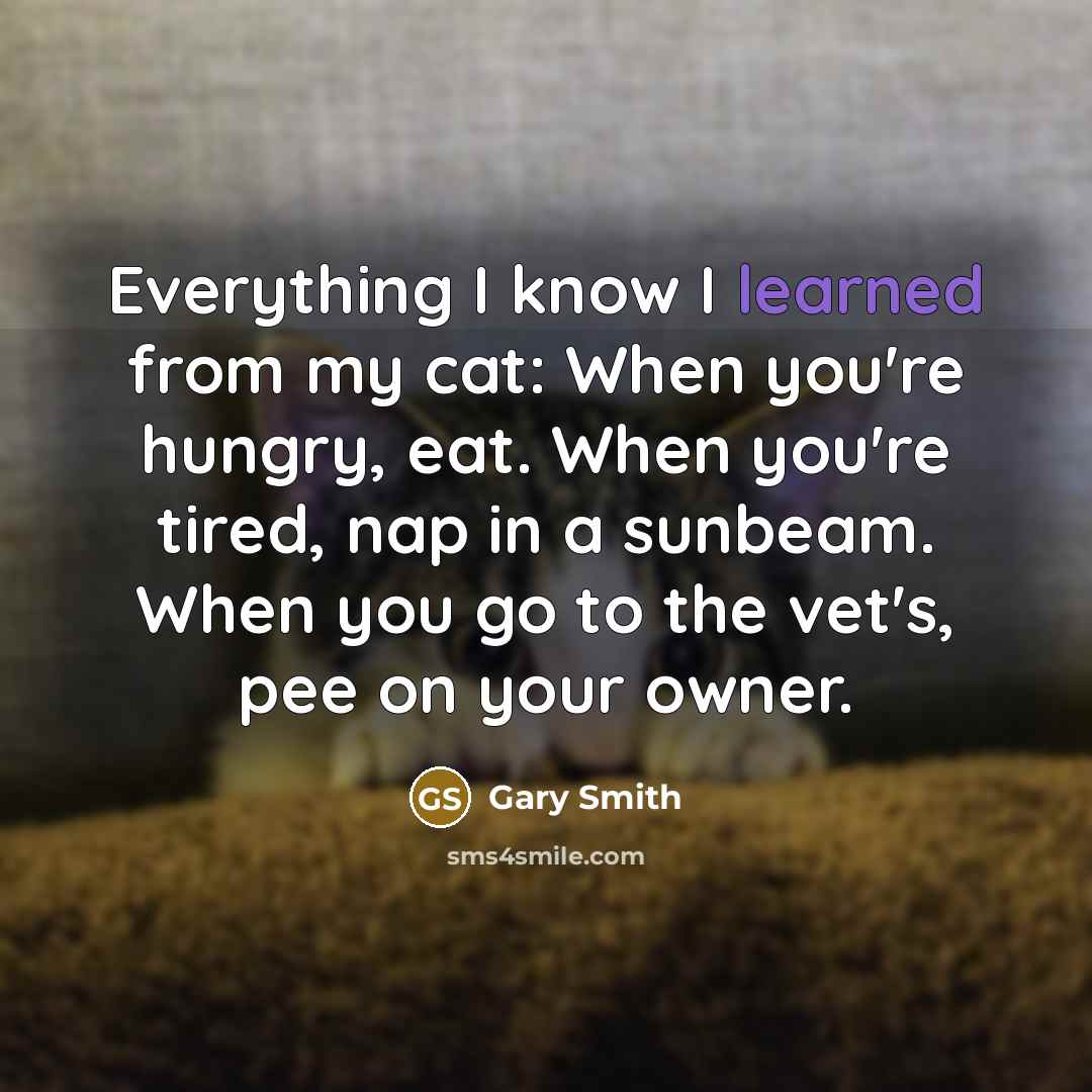 “Everything I know I learned from my cat: When you're hungry, eat. When you're tired, nap in a sunbeam. When you go to the vet's, pee on your owner.” quote by Gary Smith