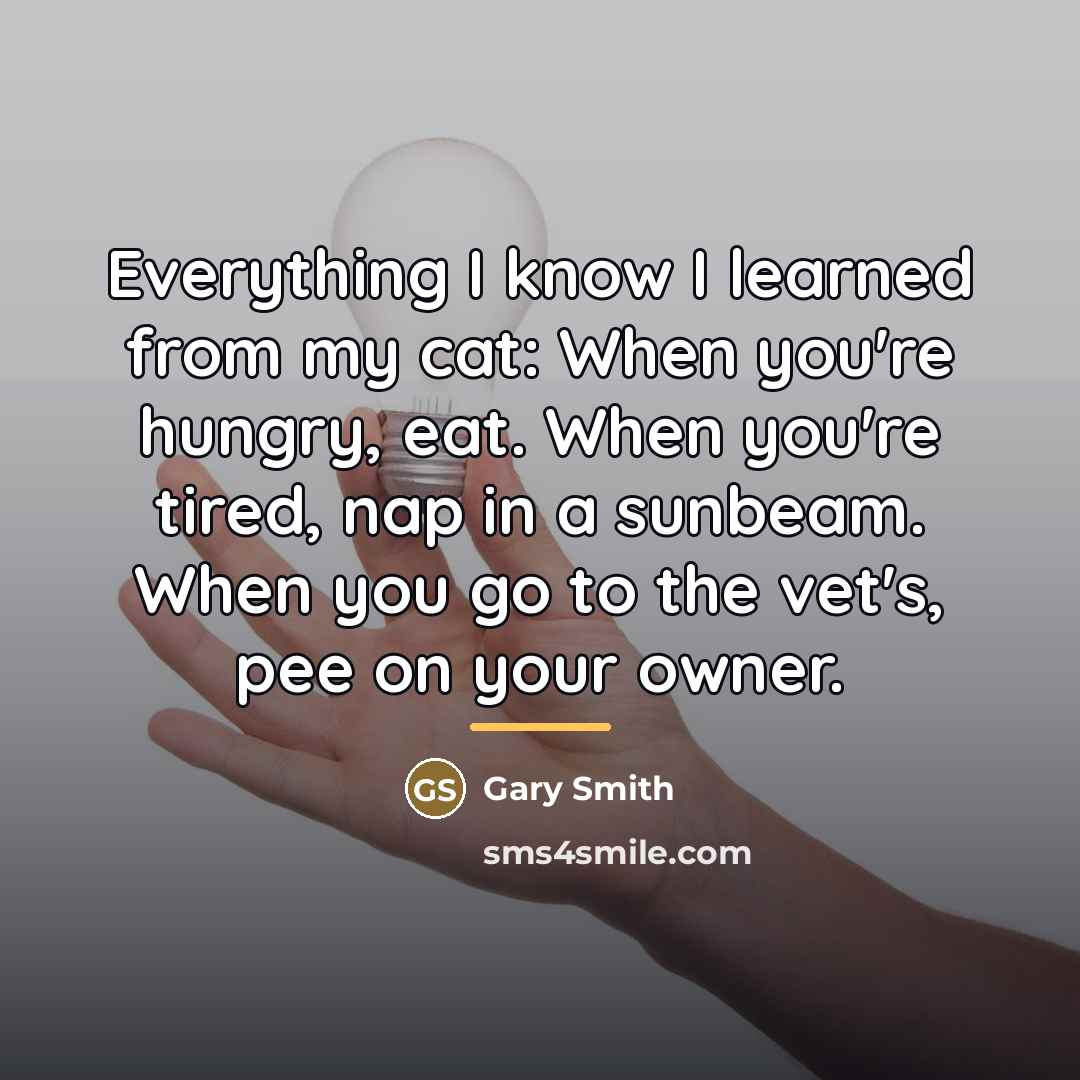 “Everything I know I learned from my cat: When you're…” quote by Gary Smith