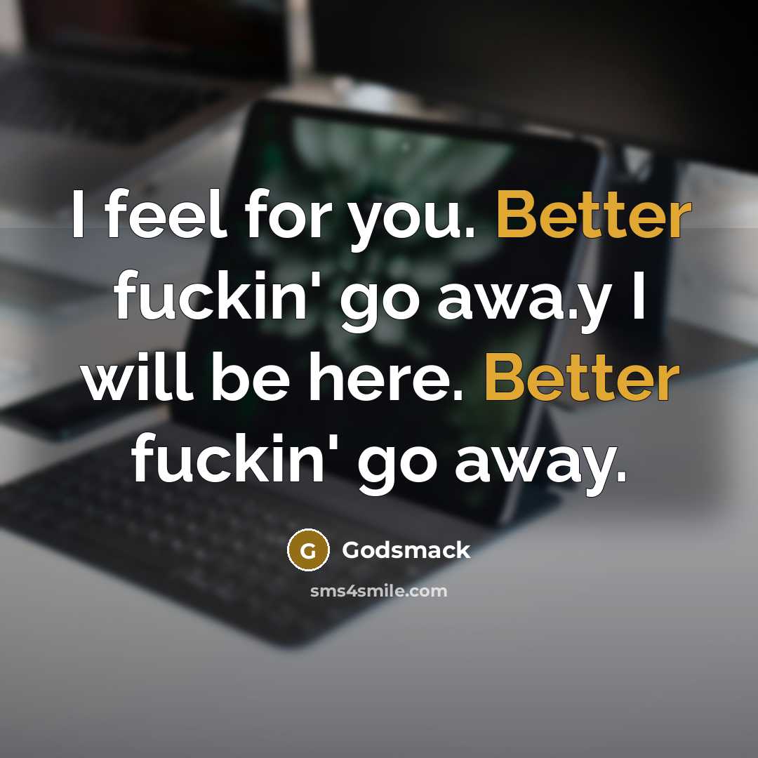 “I feel for you. Better fuckin' go awa.y I will be here. Better fuckin' go away.” quote by Godsmack