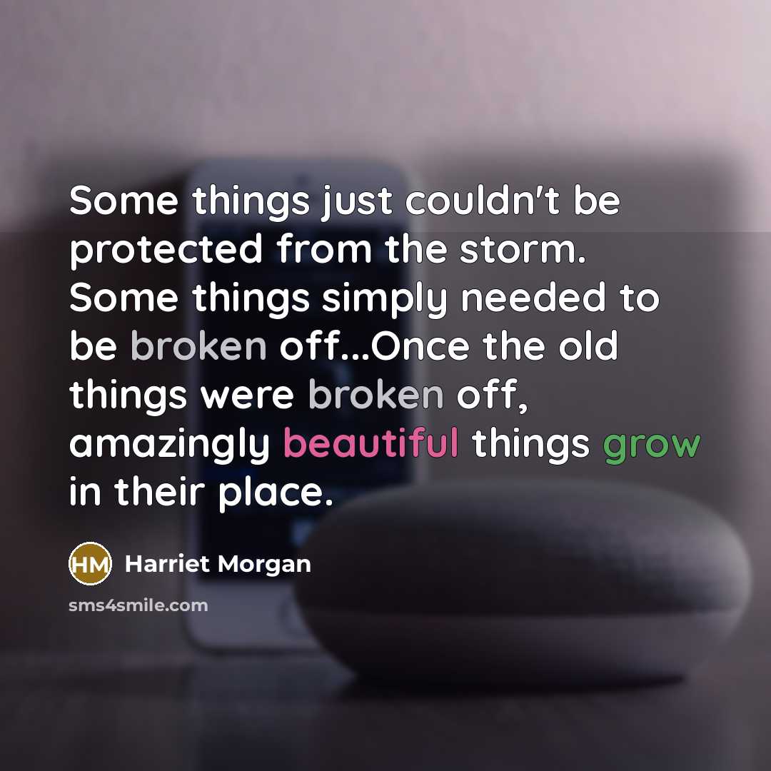 “Some things just couldn't be protected from the storm. Some…” quote by Harriet Morgan