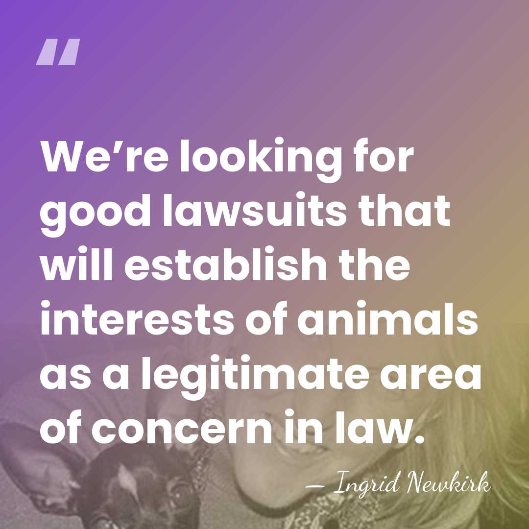 We’re looking for good lawsuits that will establish the interests of animals&hellip; - Ingrid Newkirk