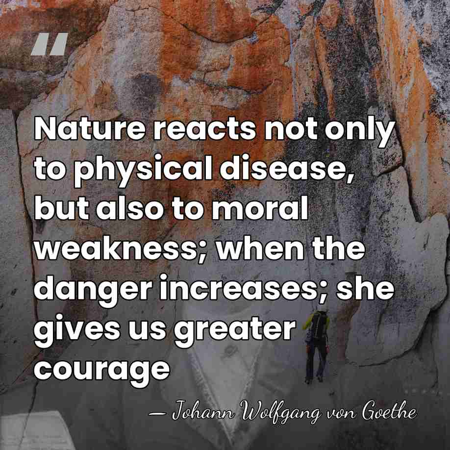 Nature reacts not only to physical disease, but also to moral weakness;&hellip; - Johann Wolfgang von Goethe
