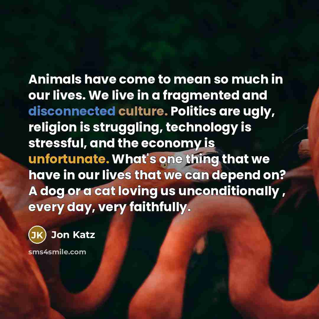 “Animals have come to mean so much in our lives.…” quote by Jon Katz