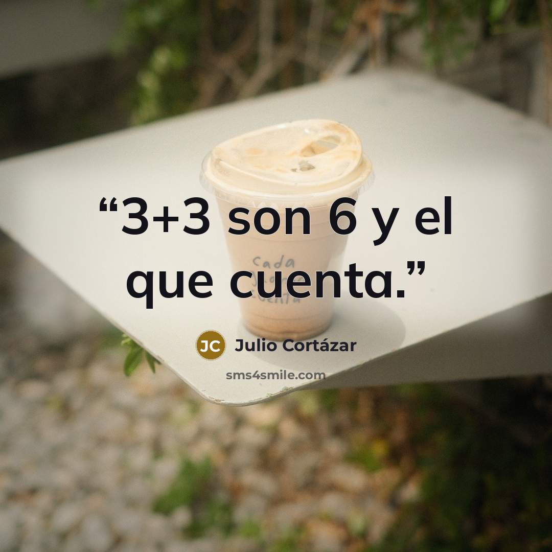 “3+3 son 6 y el que cuenta.” quote by Julio Cortázar
