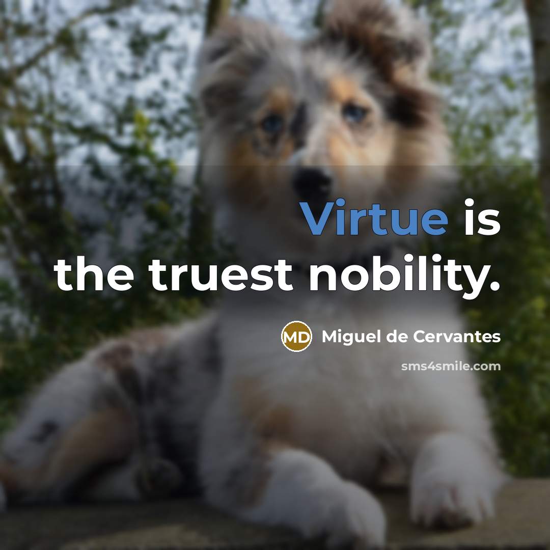 “Virtue is the truest nobility.…” quote by Miguel de Cervantes