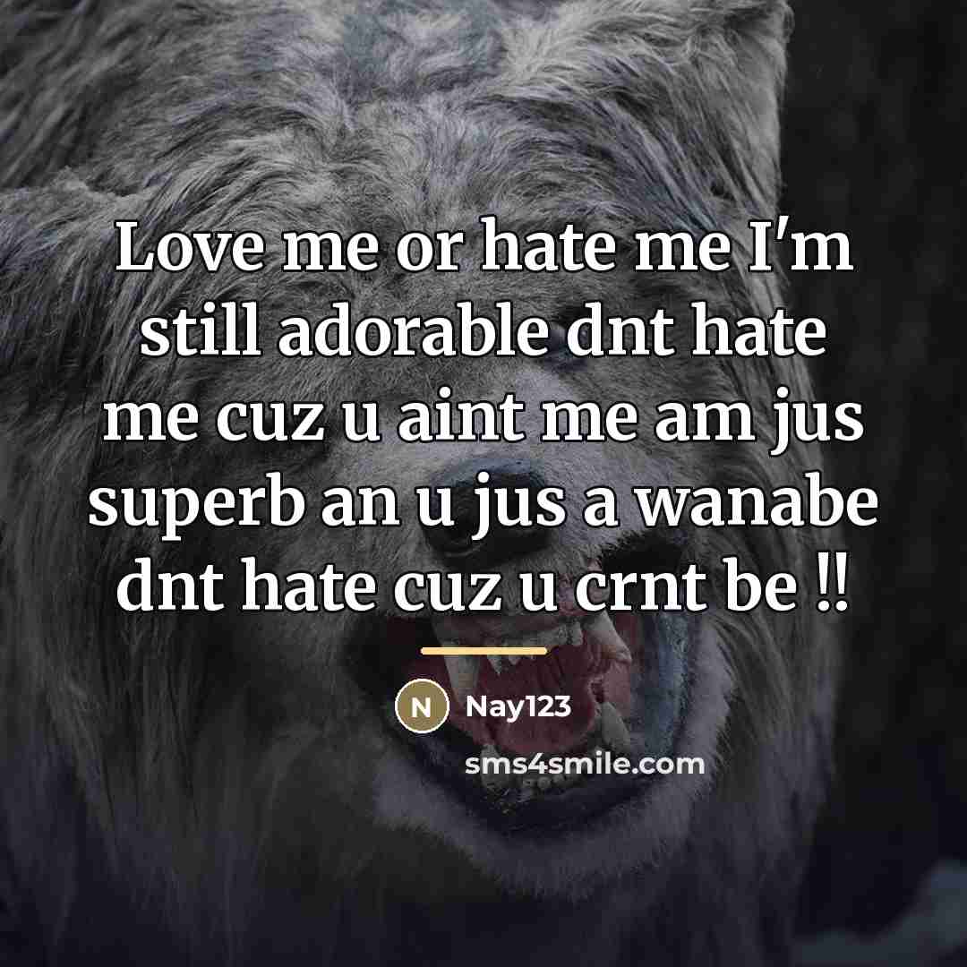 “Love me or hate me I'm still adorable dnt hate…” quote by Nay123