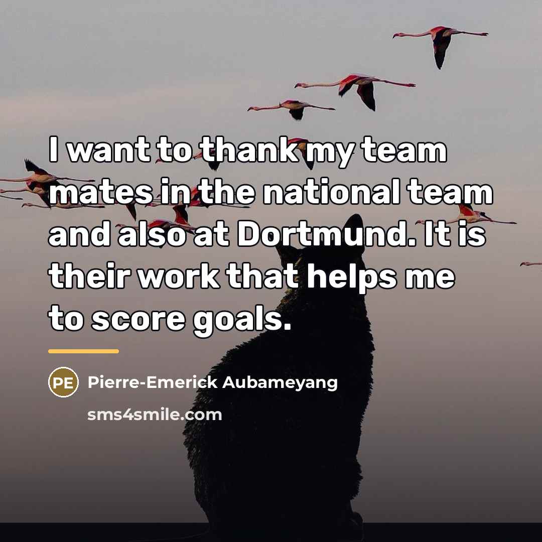 “I want to thank my team mates in the national…” quote by Pierre-Emerick Aubameyang
