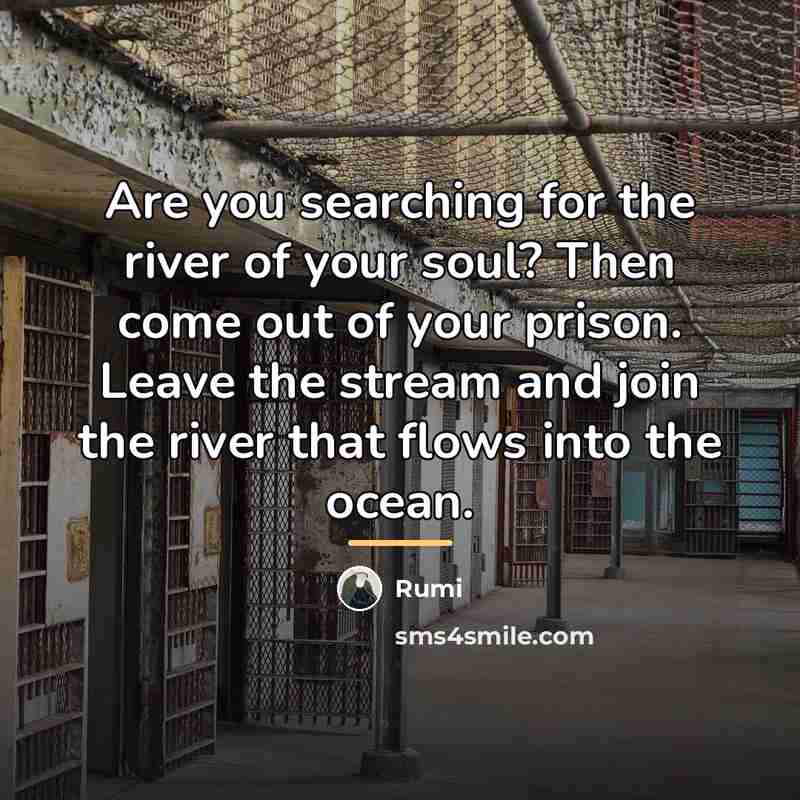 “Are you searching for the river of your soul? Then…” quote by Rumi