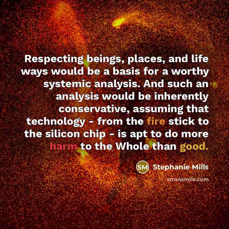 “Respecting beings, places, and life ways would be a basis…” quote by Stephanie Mills