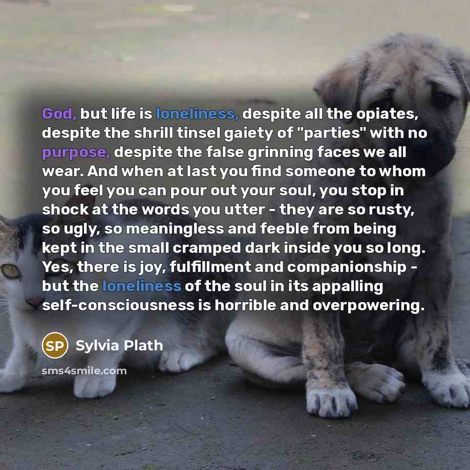 “God, but life is loneliness, despite all the opiates, despite…” quote by Sylvia Plath