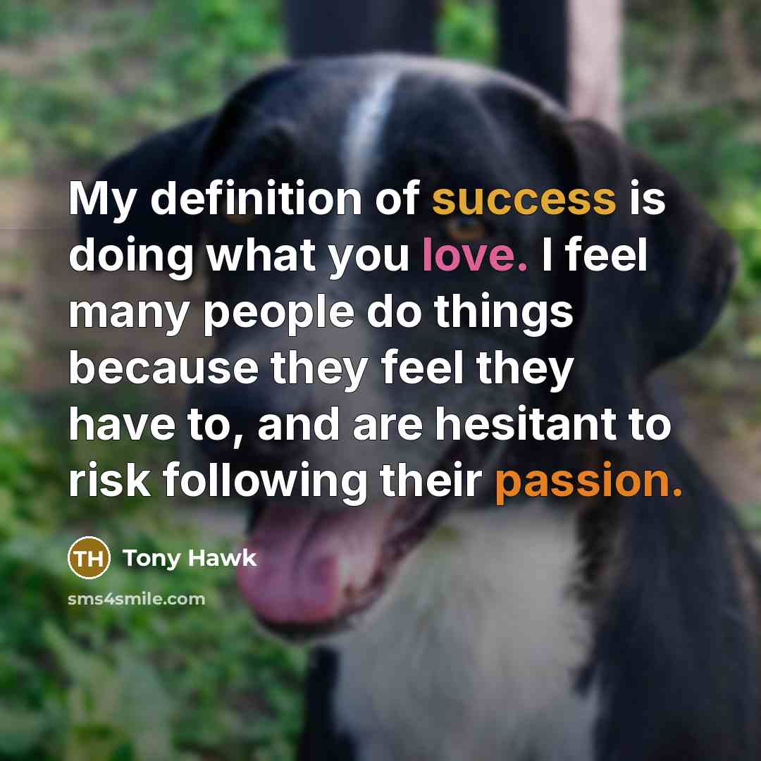 “My definition of success is doing what you love. I…” quote by Tony Hawk