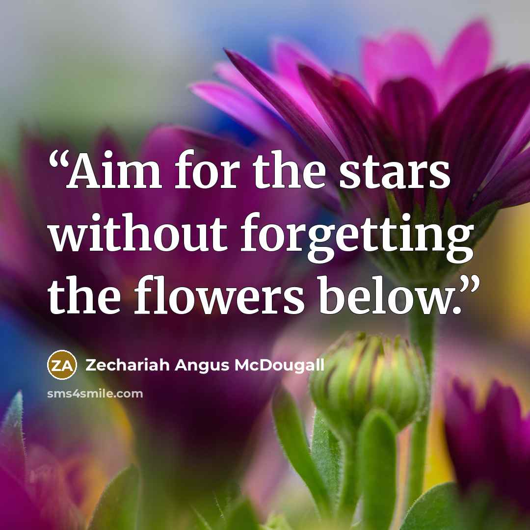 “Aim for the stars without forgetting the flowers below.” quote by Zechariah Angus McDougall