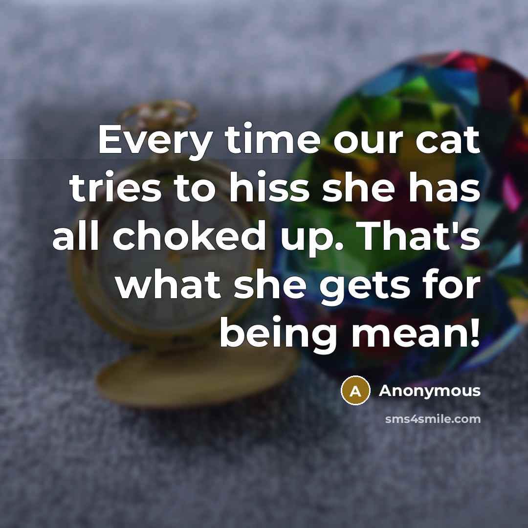 “Every time our cat tries to hiss she has all…” quote by Anonymous