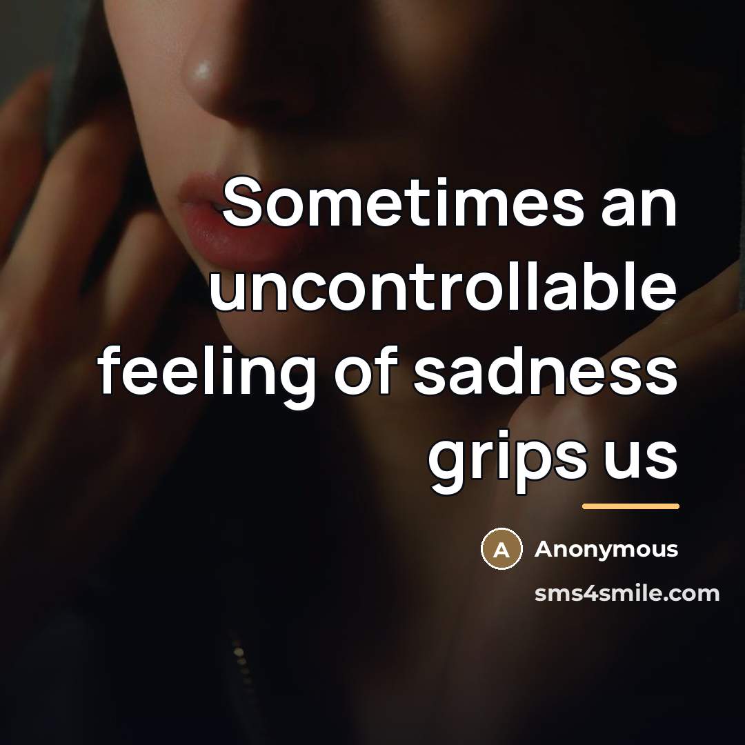 “Sometimes an uncontrollable feeling of sadness grips us…” quote by Anonymous