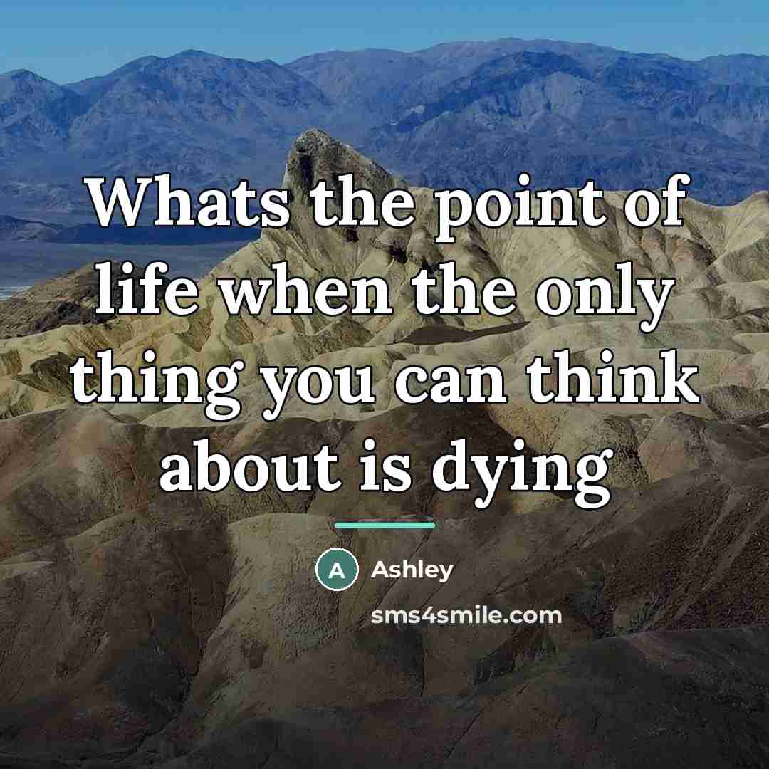 “Whats the point of life when the only thing you…” quote by Ashley