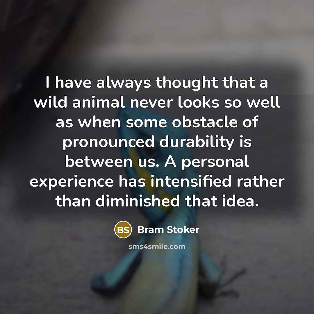 “I have always thought that a wild animal never looks…” quote by Bram Stoker