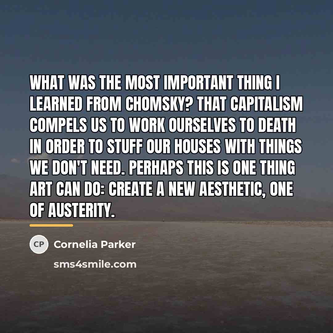“What was the most important thing I learned from Chomsky?…” quote by Cornelia Parker