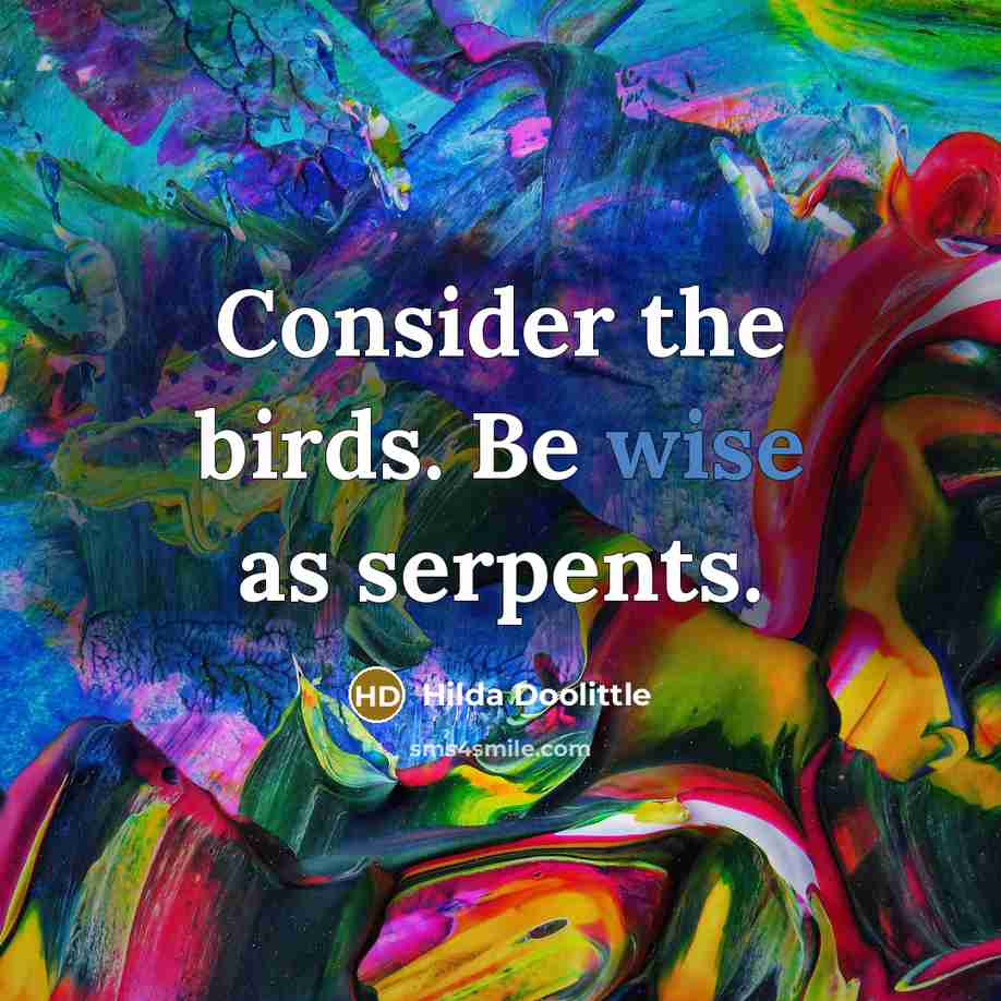 “Consider the birds. Be wise as serpents.…” quote by Hilda Doolittle