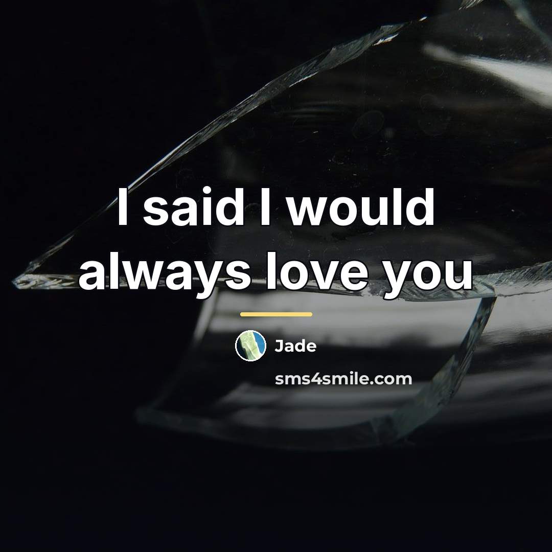 “I said I would always love you…” quote by Jade