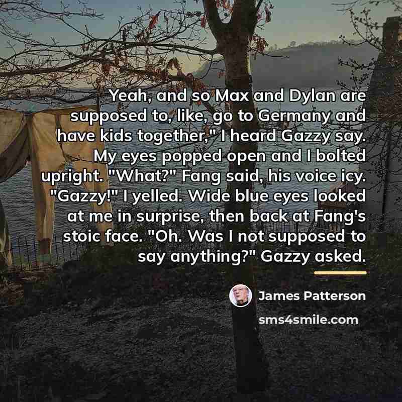 “Yeah, and so Max and Dylan are supposed to, like,…” quote by James Patterson