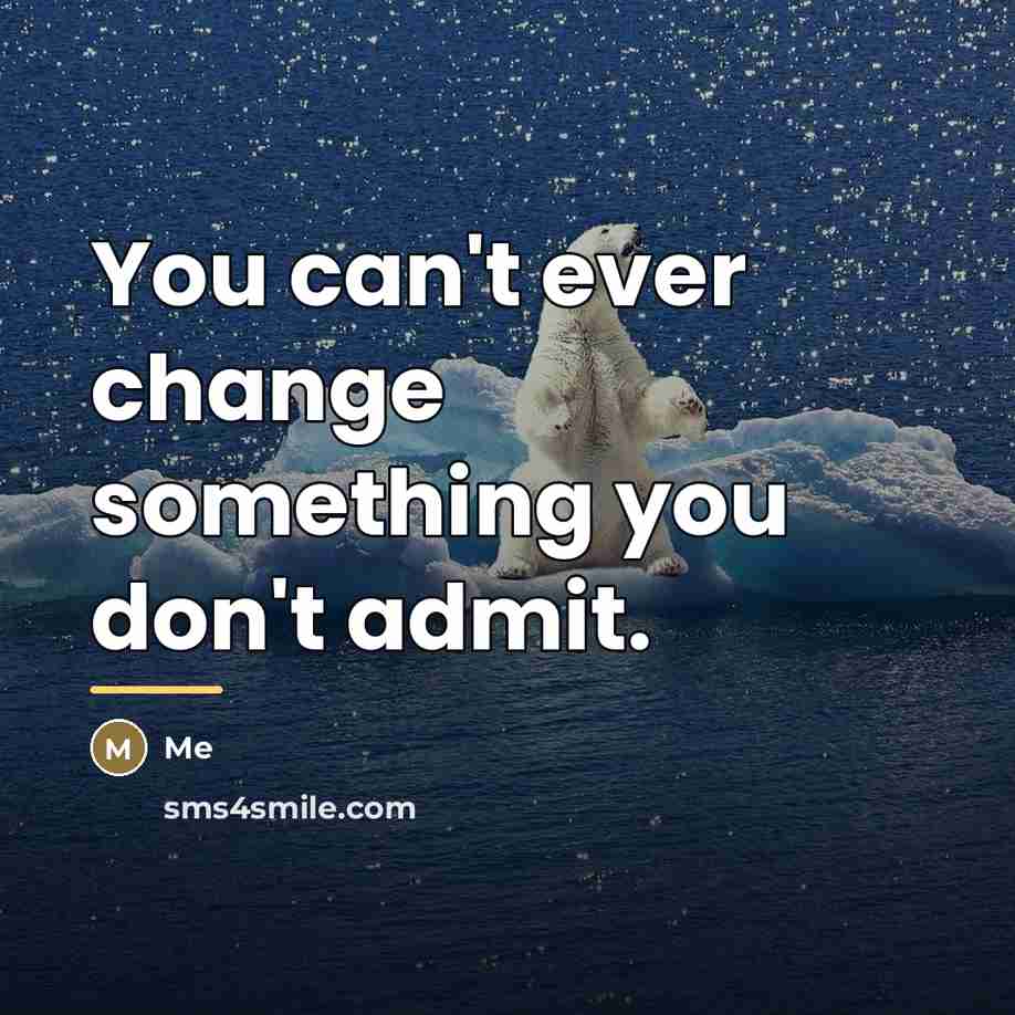 “You can't ever change something you don't admit.…” quote by Me