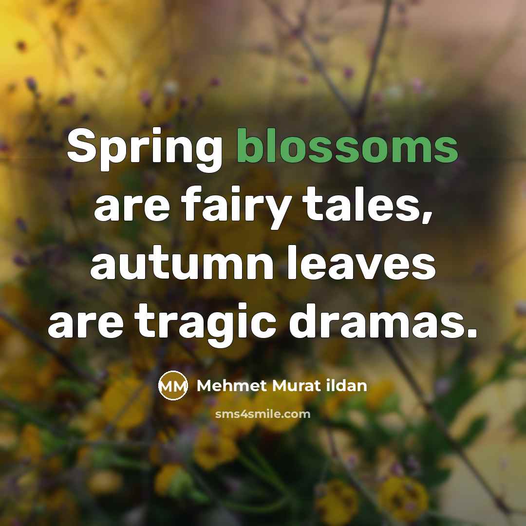“Spring blossoms are fairy tales, autumn leaves are tragic dramas.…” quote by Mehmet Murat Ildan