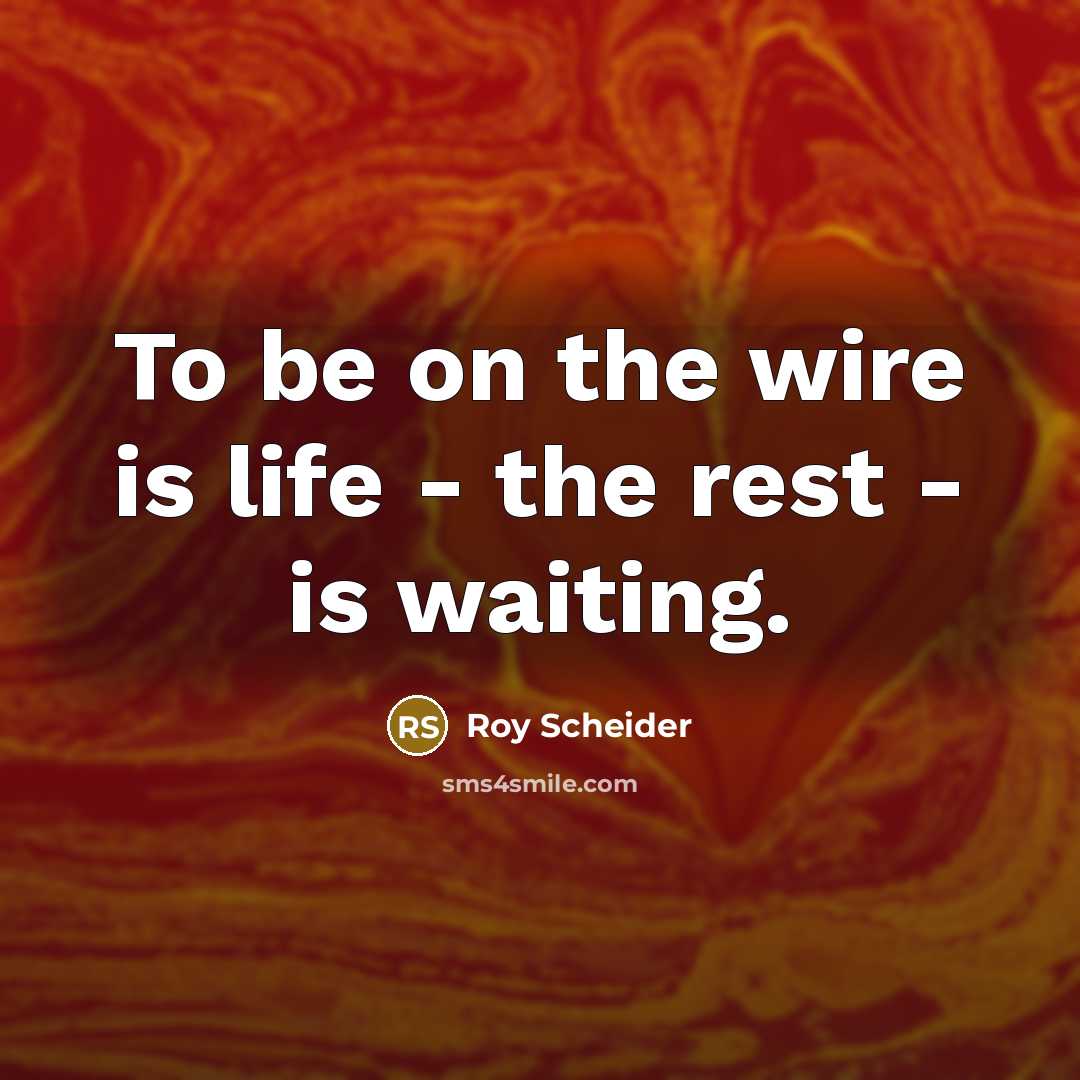 “To be on the wire is life - the rest…” quote by Roy Scheider