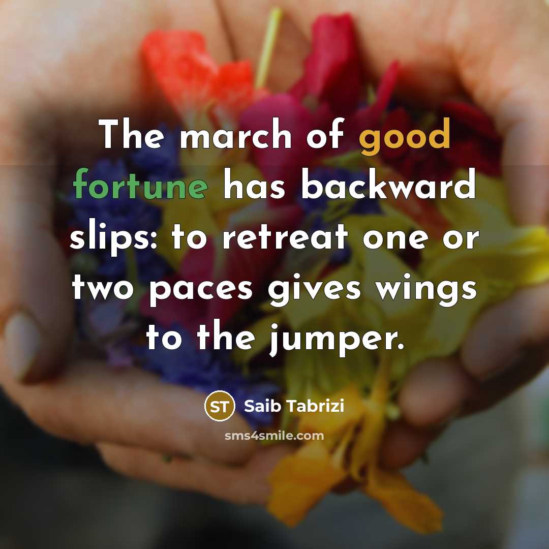 “The march of good fortune has backward slips: to retreat…” quote by Saib Tabrizi