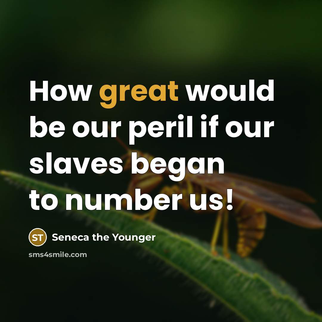 “How great would be our peril if our slaves began…” quote by Seneca the Younger